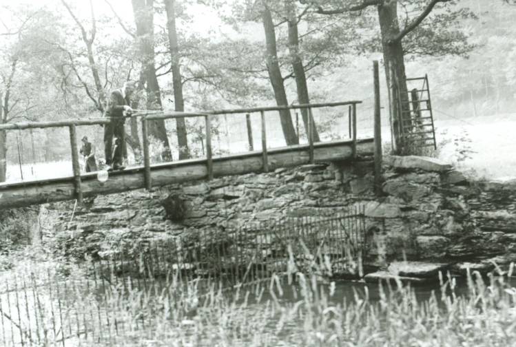 Angler am sog. Wirbeltümpel oberhalb der Pocherbrücke