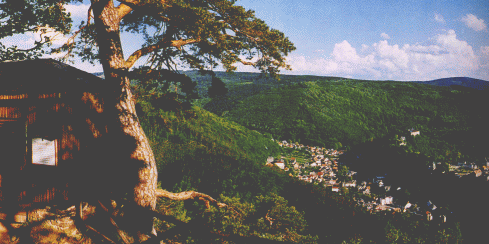 Blick vom Trippstein in das Schwarzatal